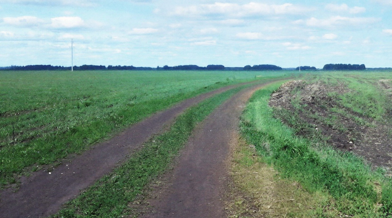 Справа — контроль, слева — GSN-2004 (0,3 л/га)